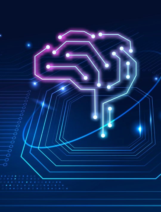 Neural Network